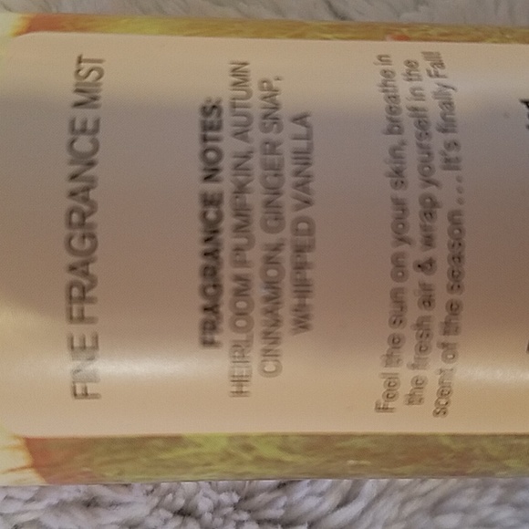 On Hold Sweet Cinnamon Pumpkin set - Picture 2 of 2